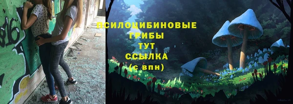 прущий лед Великий Новгород
