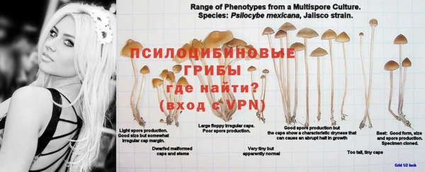 альфа пвп Липки