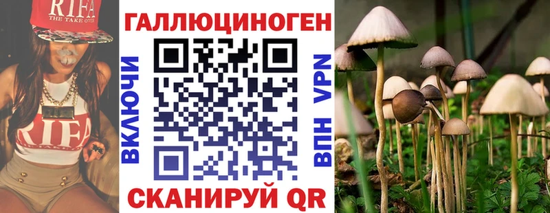 Псилоцибиновые грибы Psilocybine cubensis  Чулым 